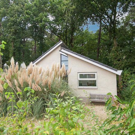 Elite Holiday Home In North Holland Near Forest Schoorl Exterior photo
